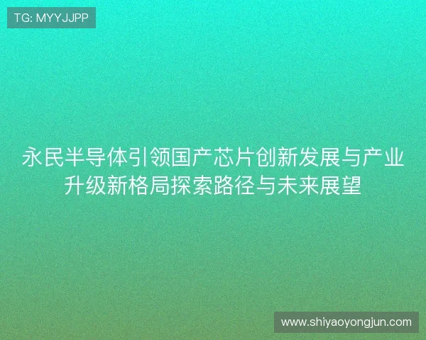 永民半导体引领国产芯片创新发展与产业升级新格局探索路径与未来展望